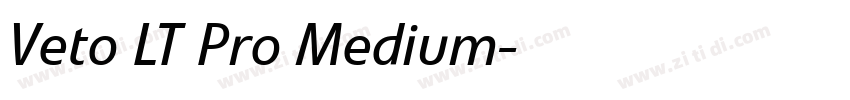 Veto LT Pro Medium字体转换